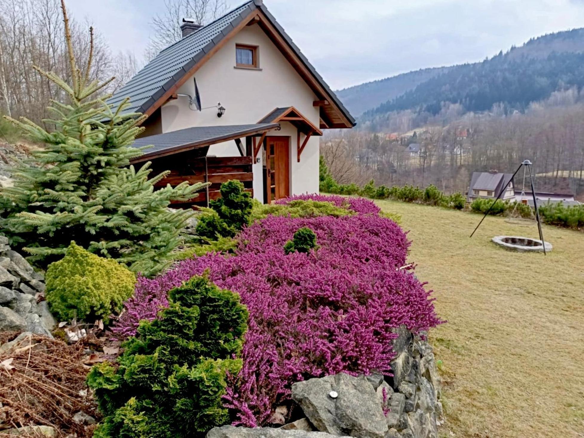 Ferienhaus Hoya Hoya